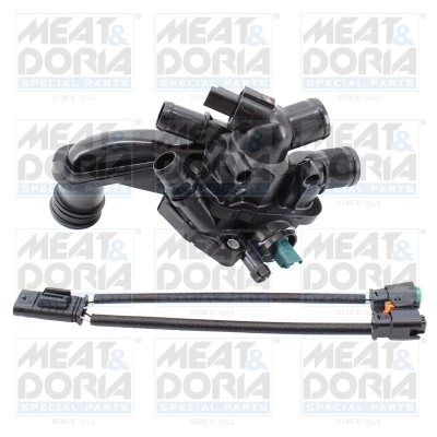 Thermostat, coolant